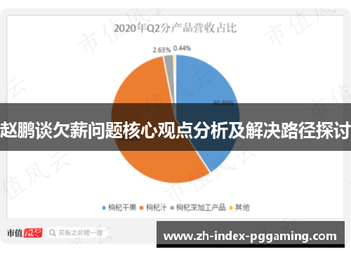 赵鹏谈欠薪问题核心观点分析及解决路径探讨
