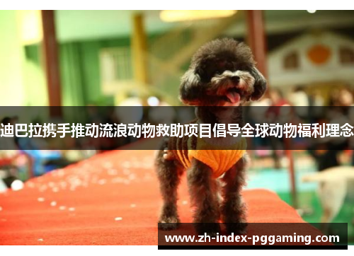 迪巴拉携手推动流浪动物救助项目倡导全球动物福利理念