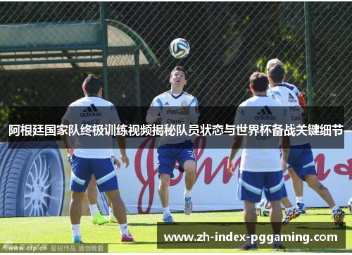 阿根廷国家队终极训练视频揭秘队员状态与世界杯备战关键细节
